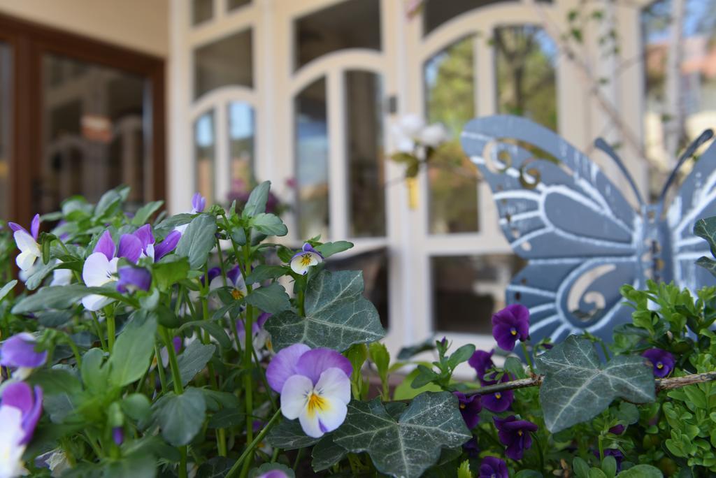 Guest House Romantika Panzio Gyula Exterior photo