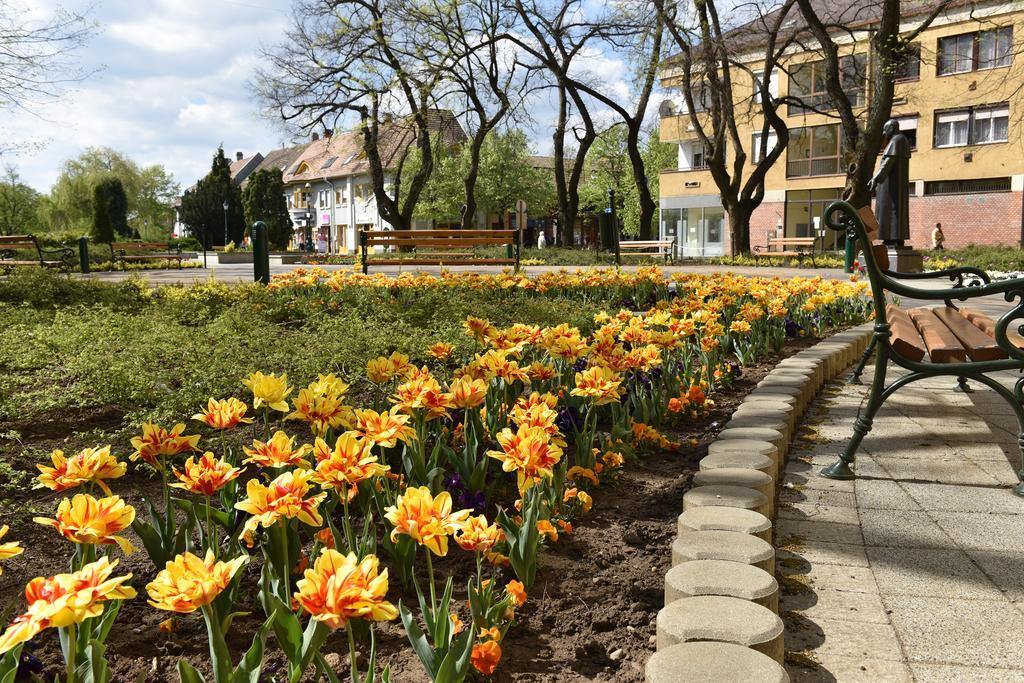 Guest House Romantika Panzio Gyula Exterior photo
